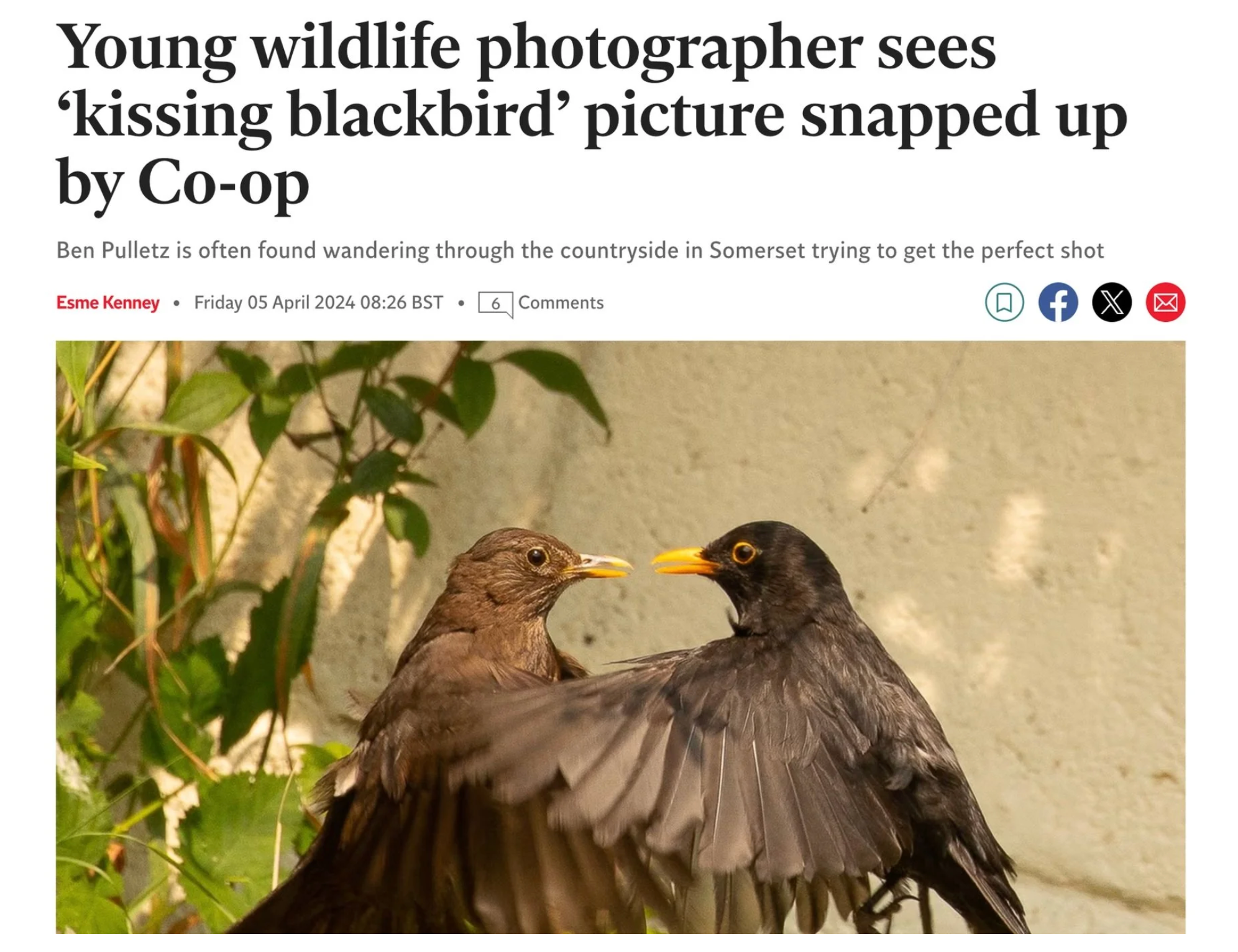 The Independent