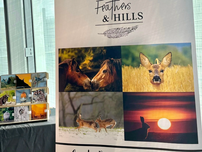 John Lewis Exhibiton