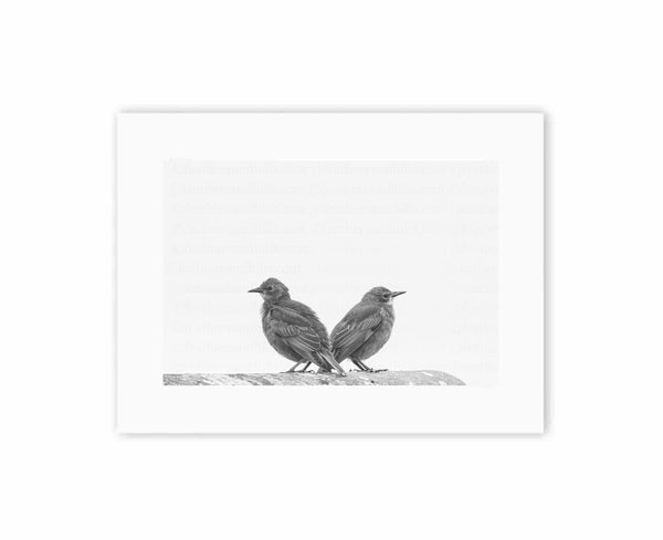 Back to Back