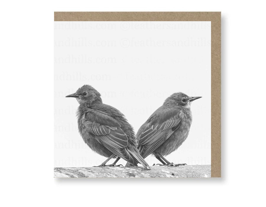 Greetings Cards