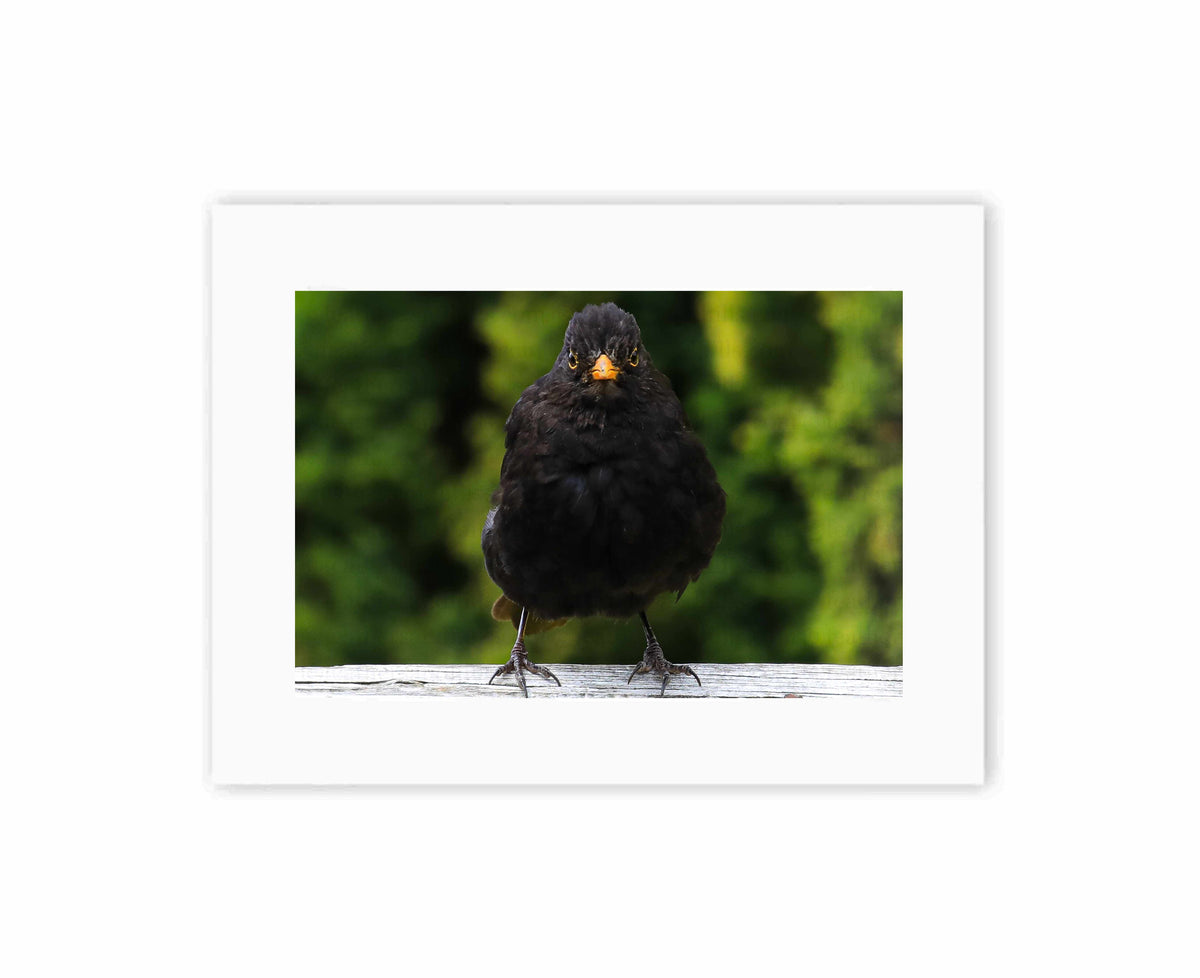 I've only got eyes for you!