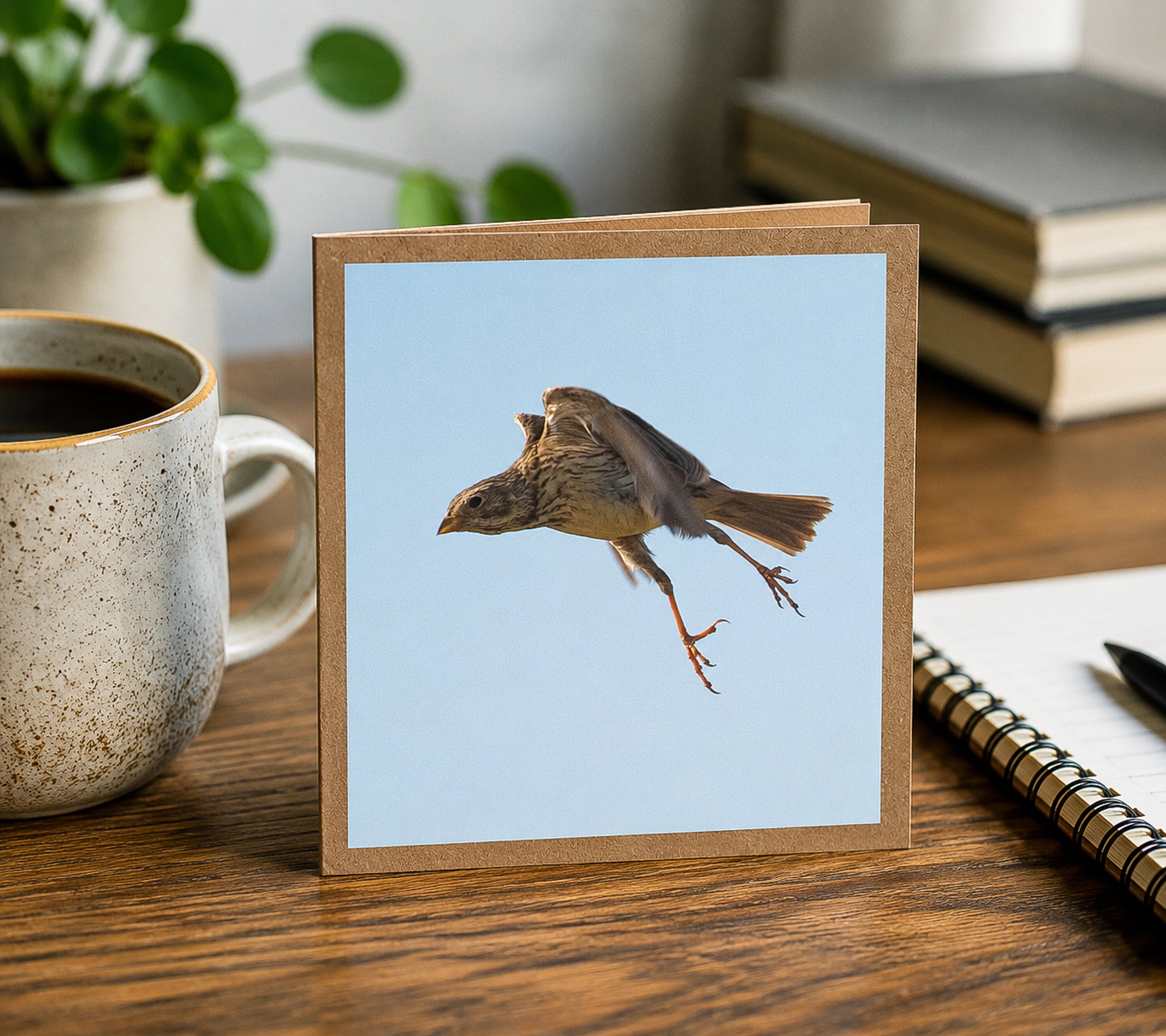 Corn Bunting Stretching