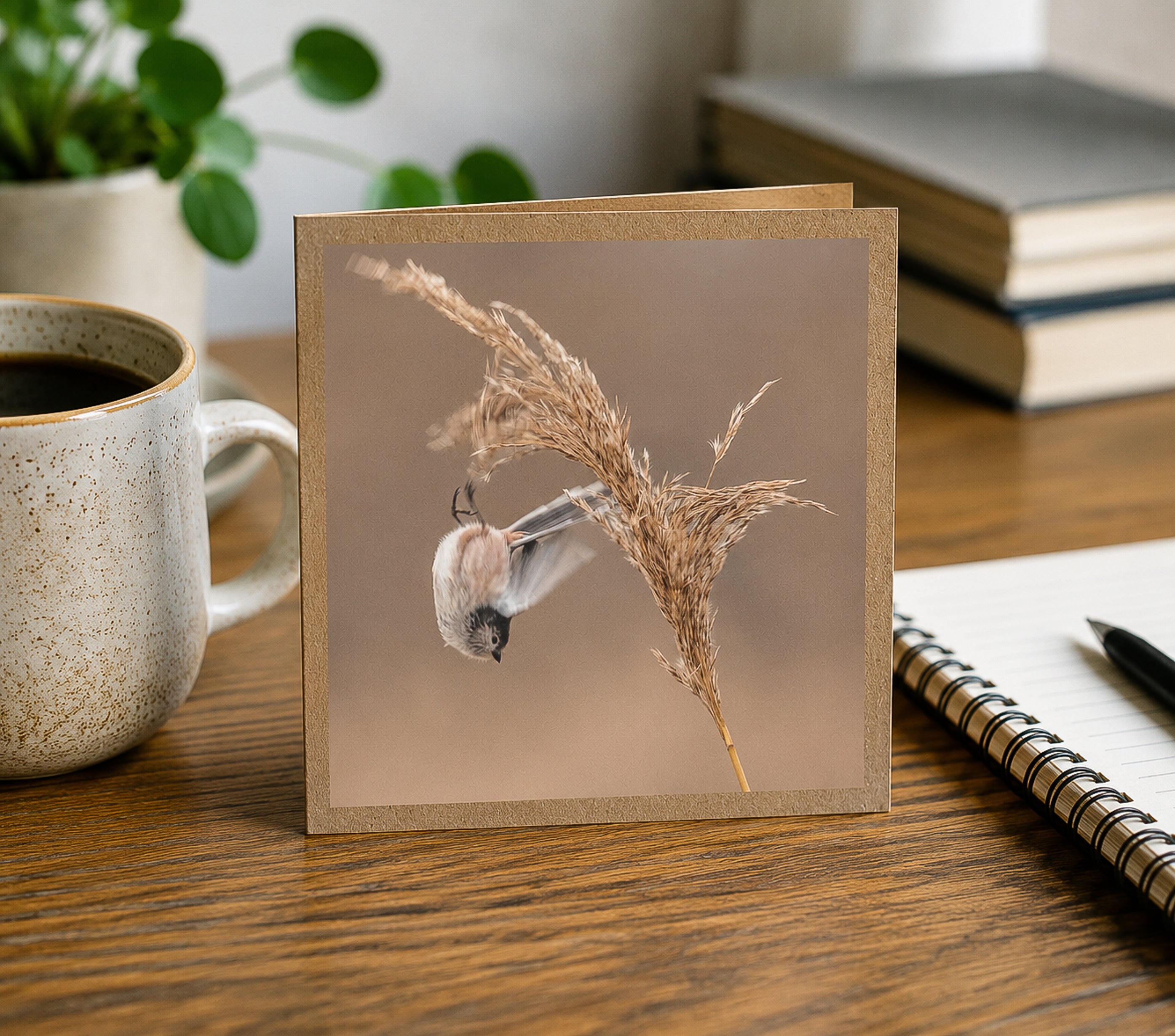 Diving Long Tailed Tit