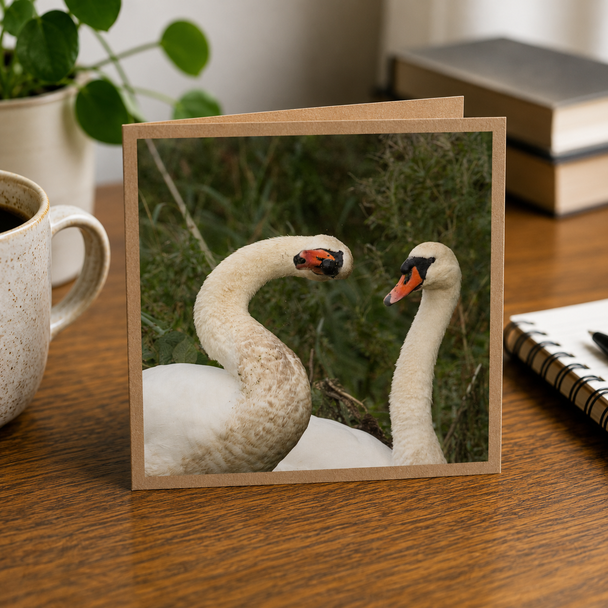 Funny Swan