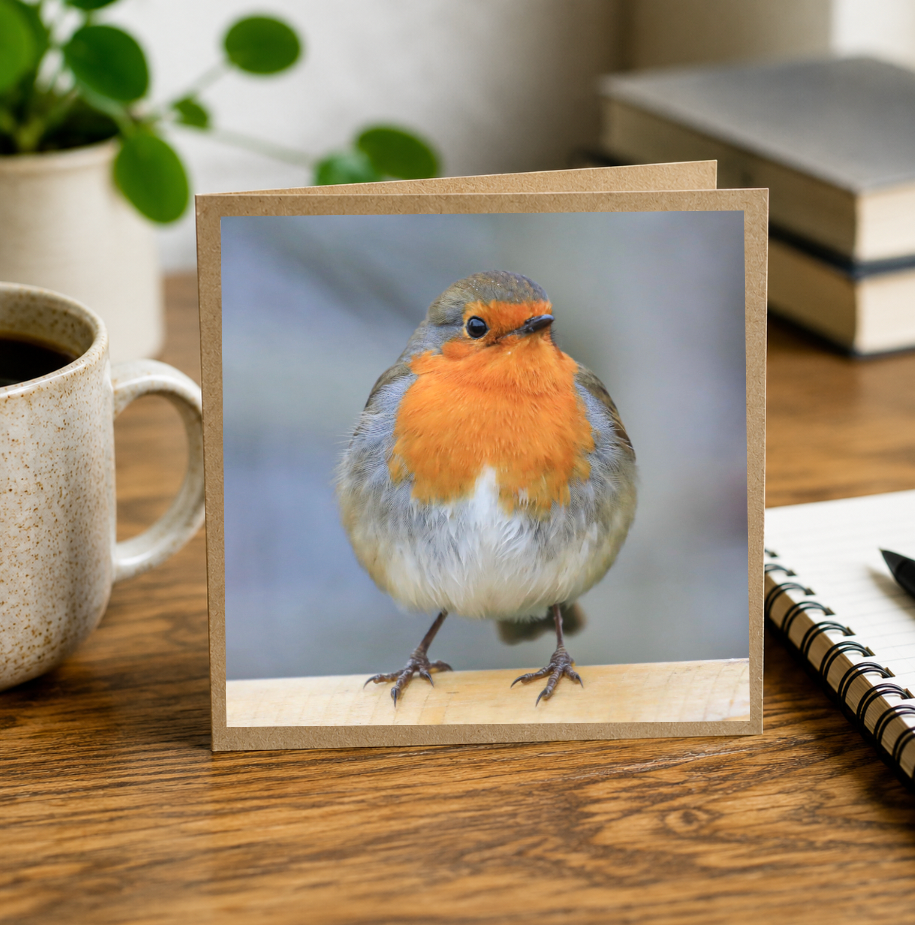 Puffy Robin