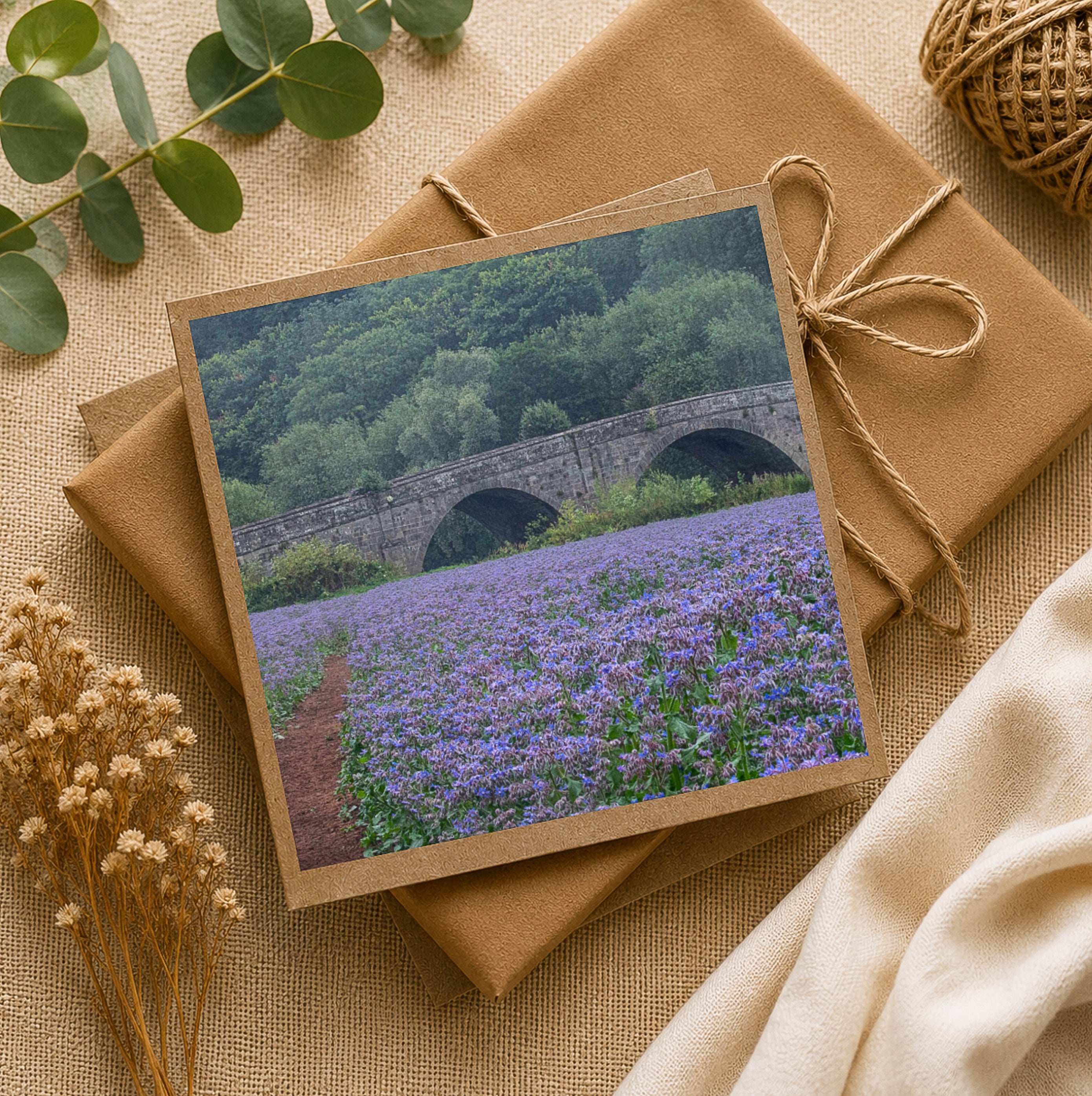 Beauty and the bridge