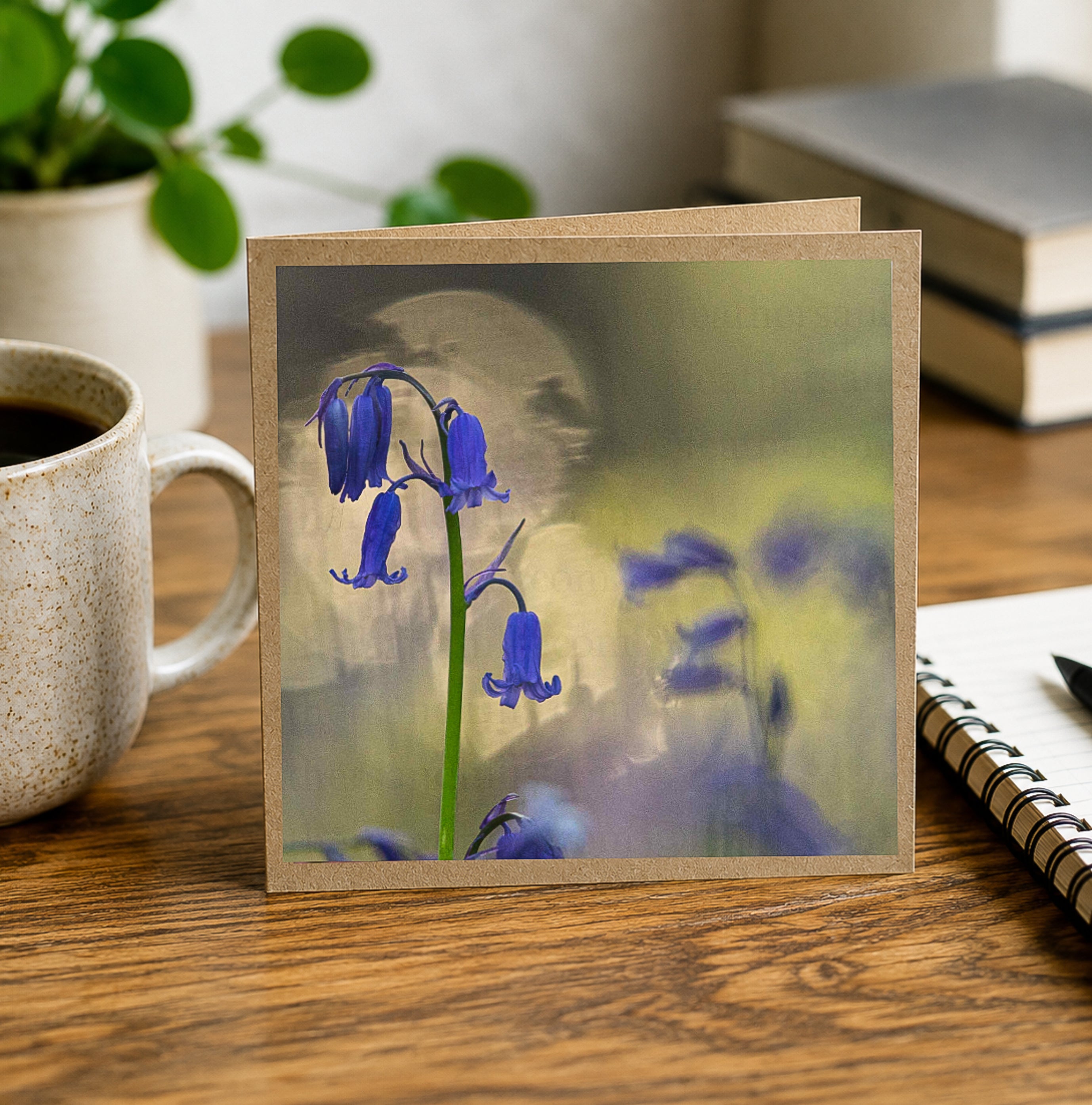 Bluebell at sunrise