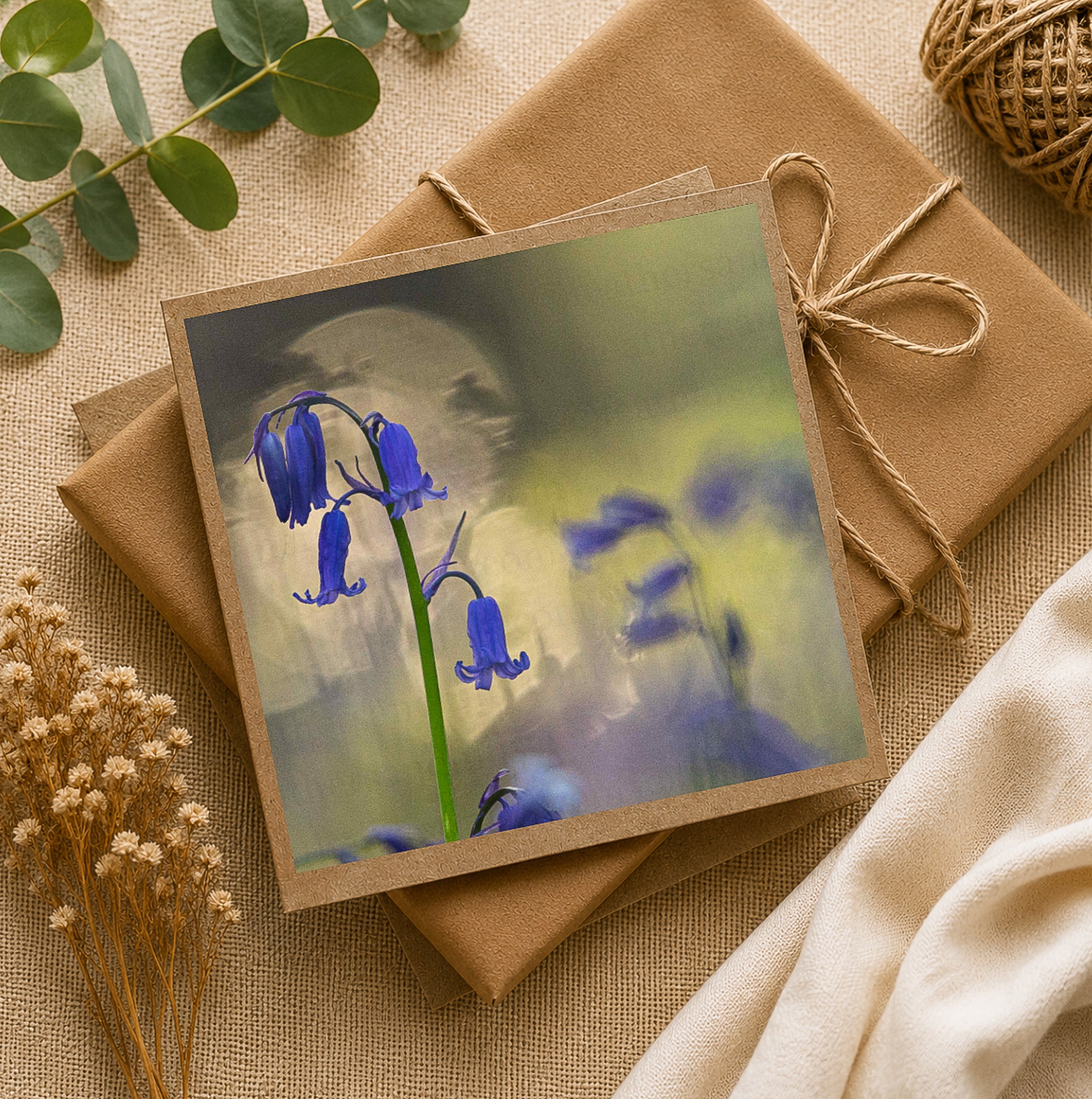 Bluebell at sunrise