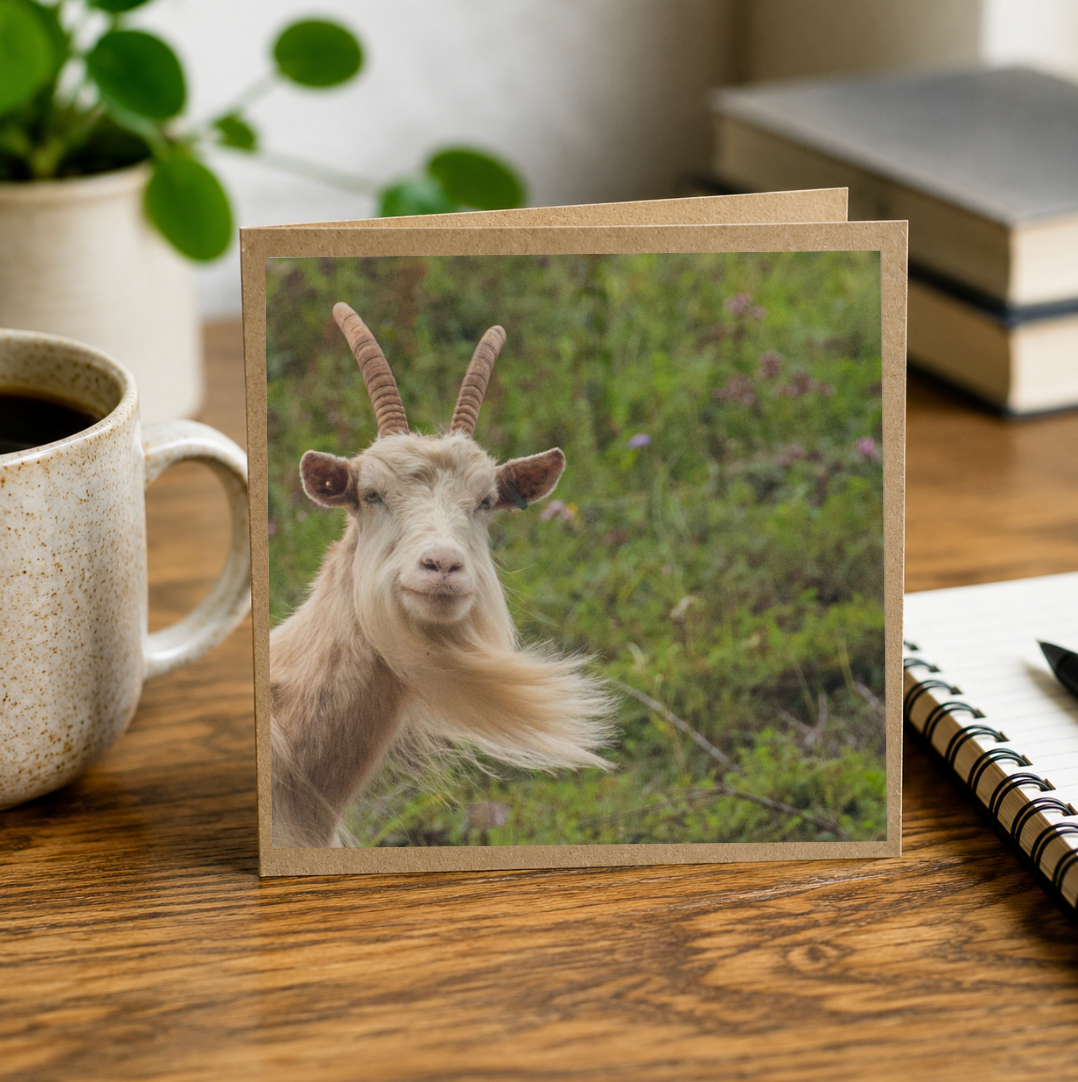 Funny Goat
