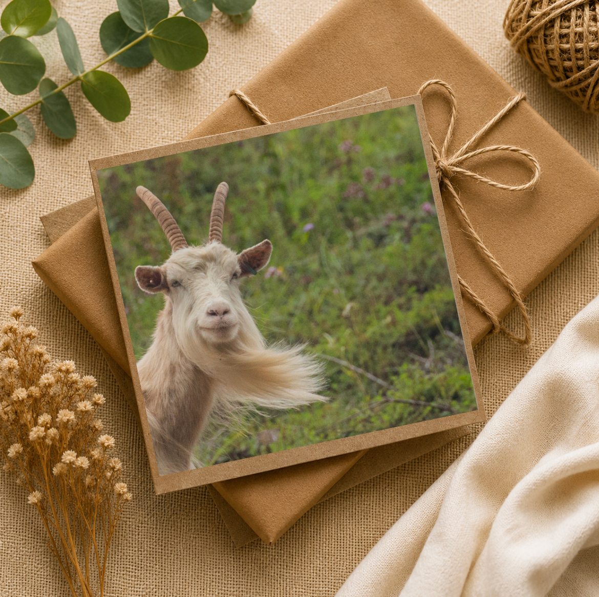 Funny Goat