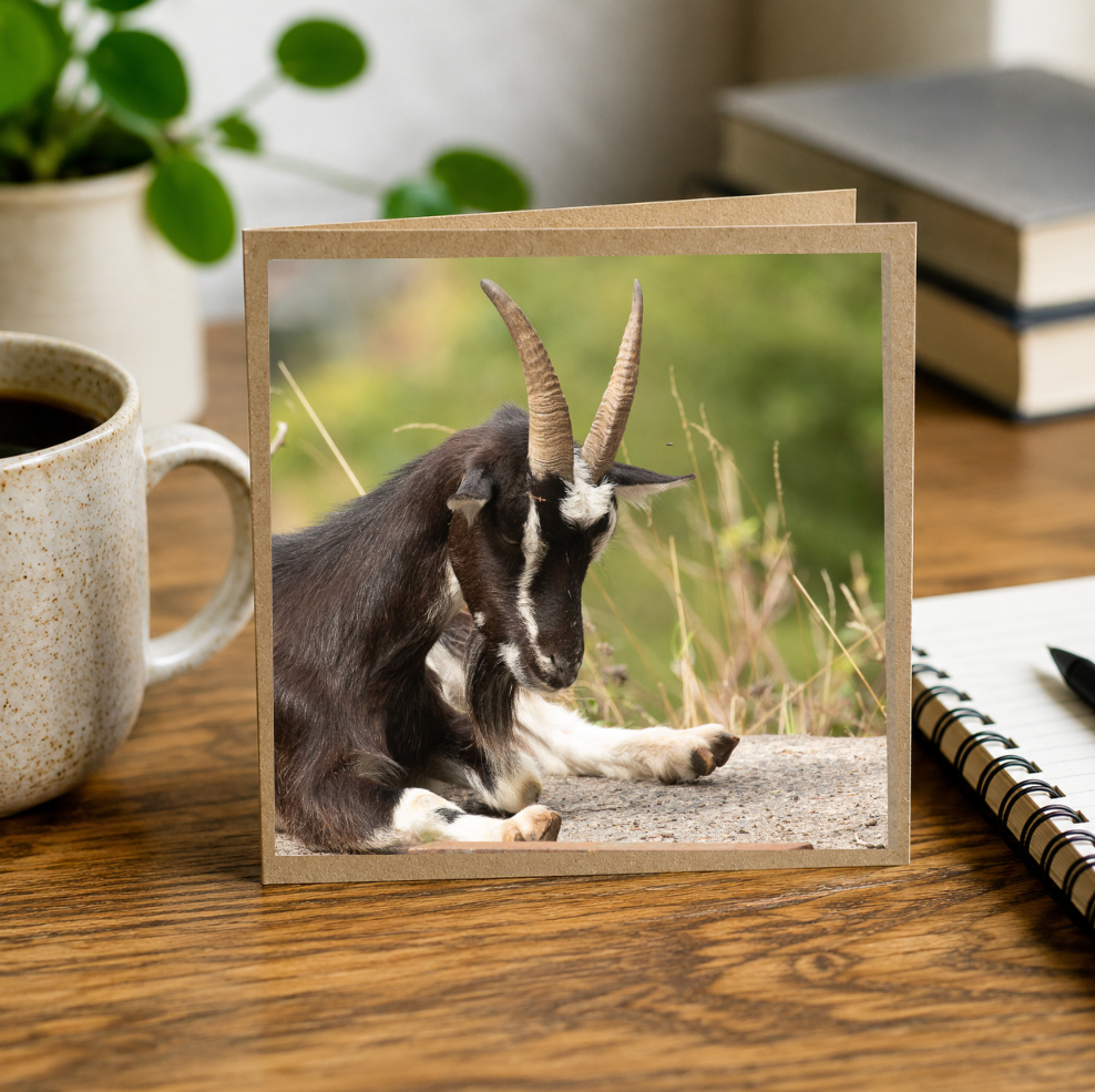 Goat Stretch