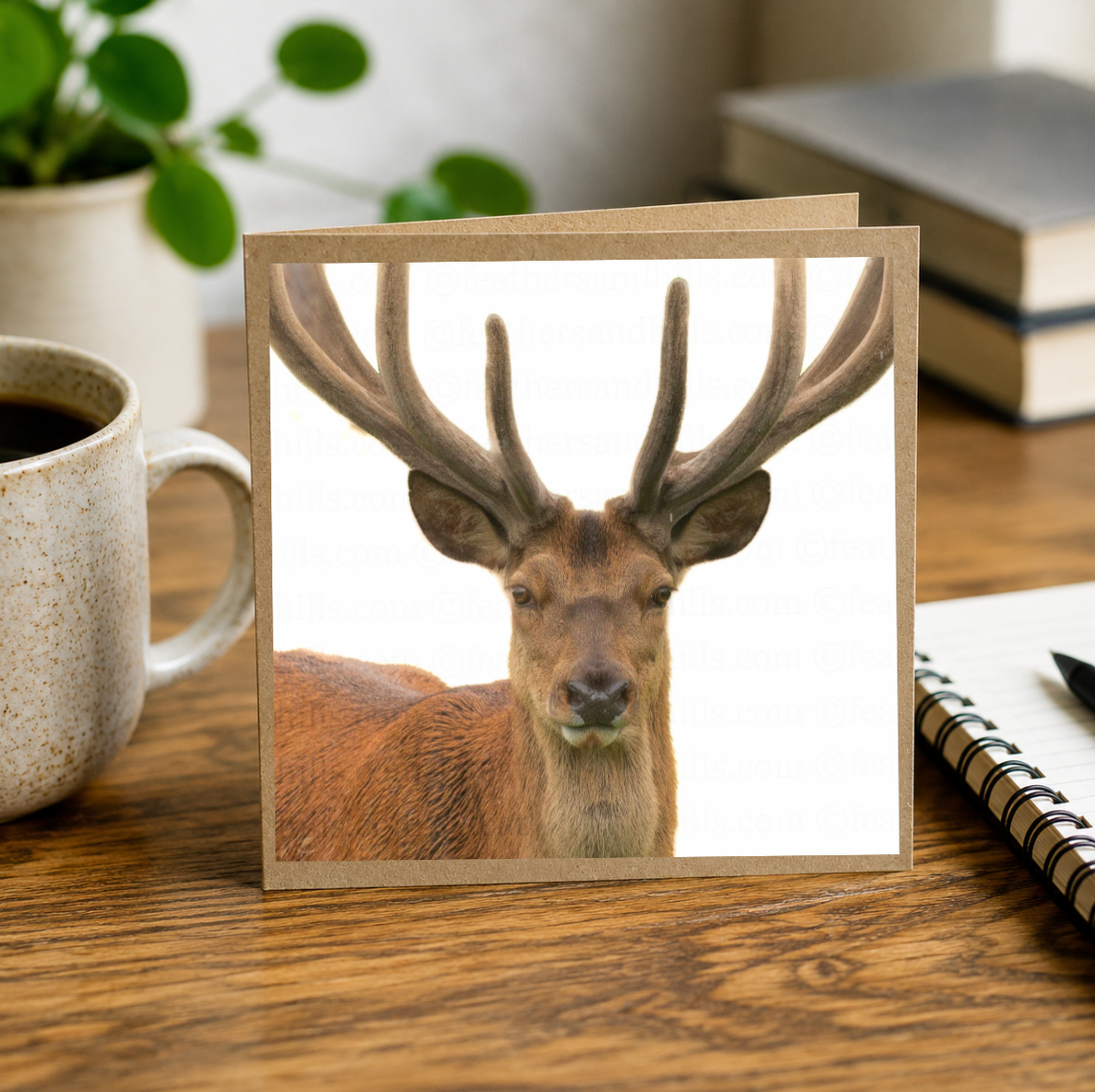 Majestic Red Deer
