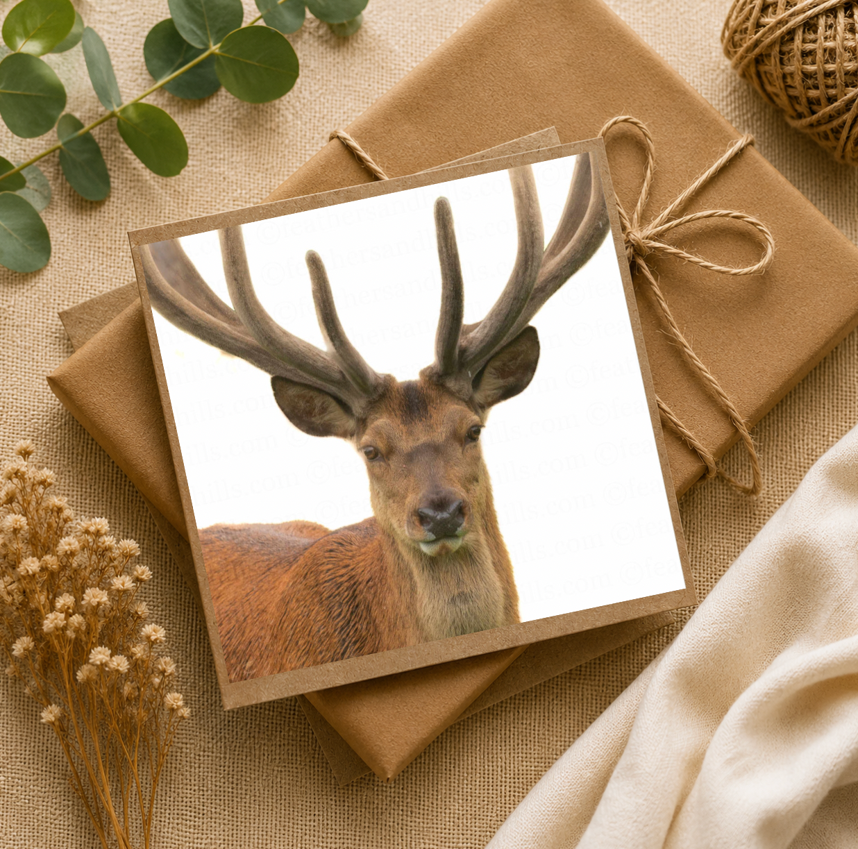 Majestic Red Deer