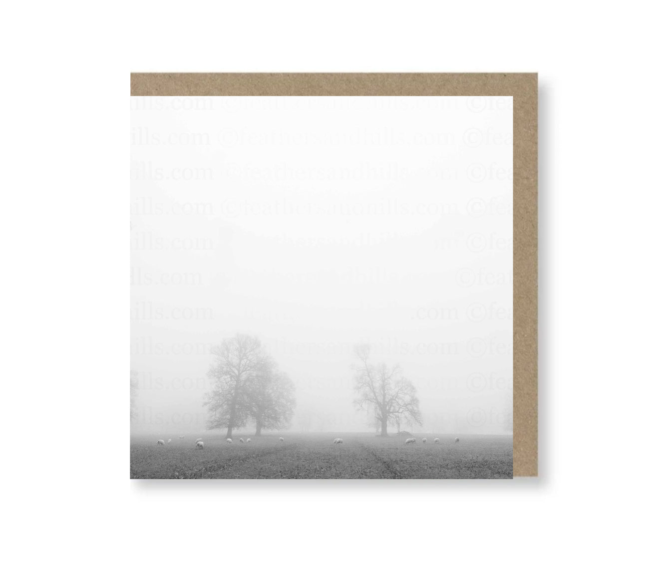 Foggy Trees