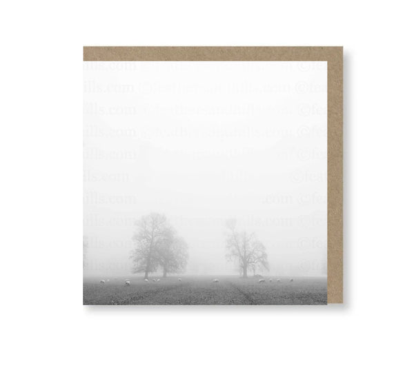 Foggy Trees
