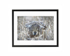 Hare Lying Down FRAMED