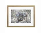 Hare Lying Down FRAMED