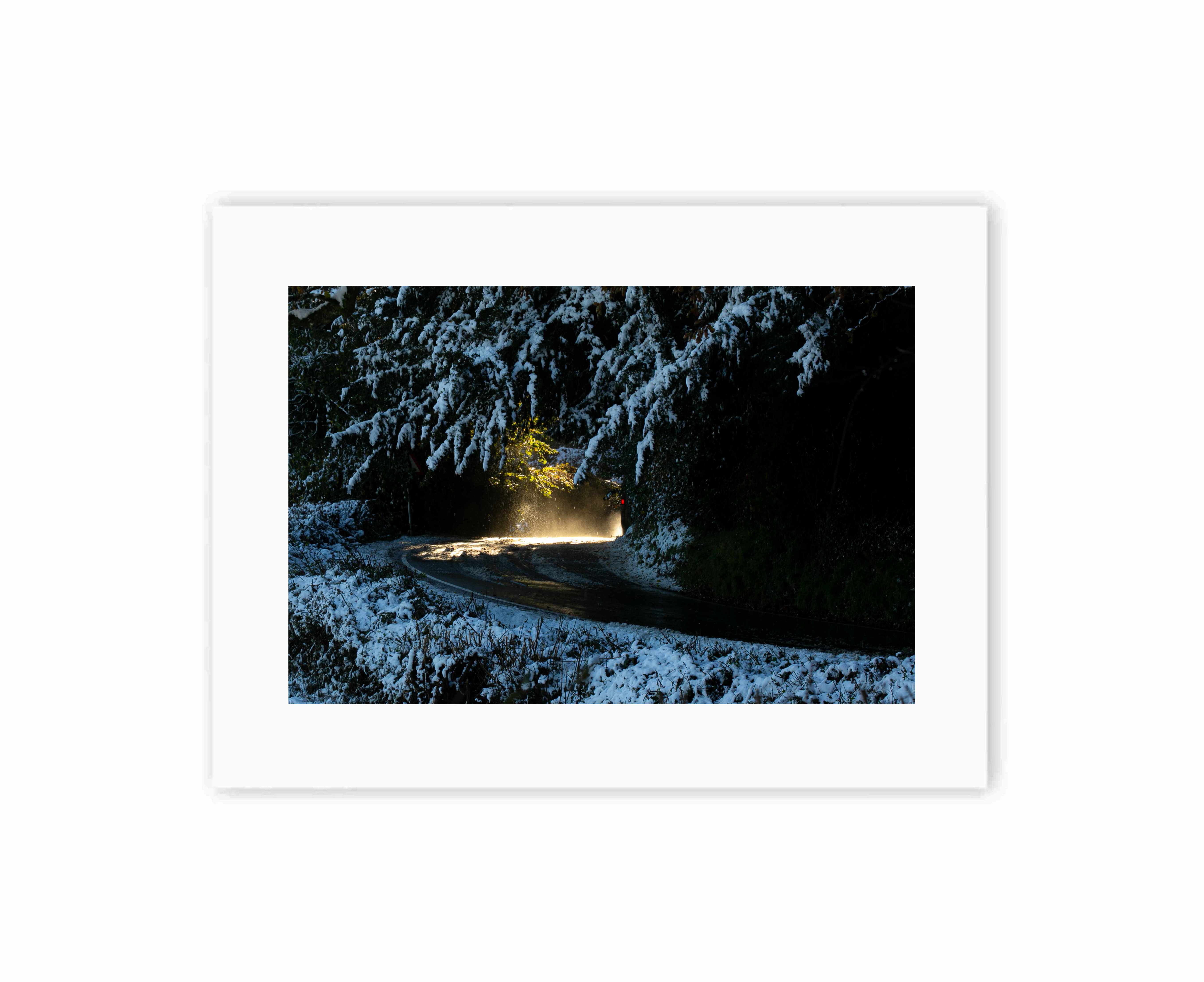 Into the snowy light