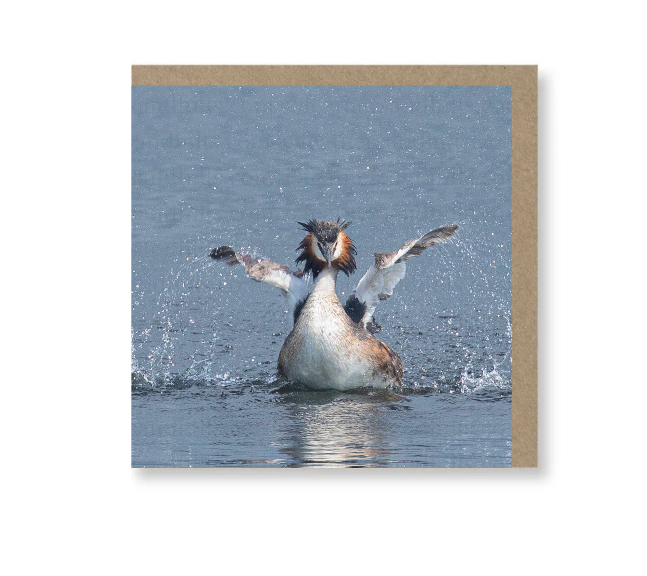 Morning Stretch