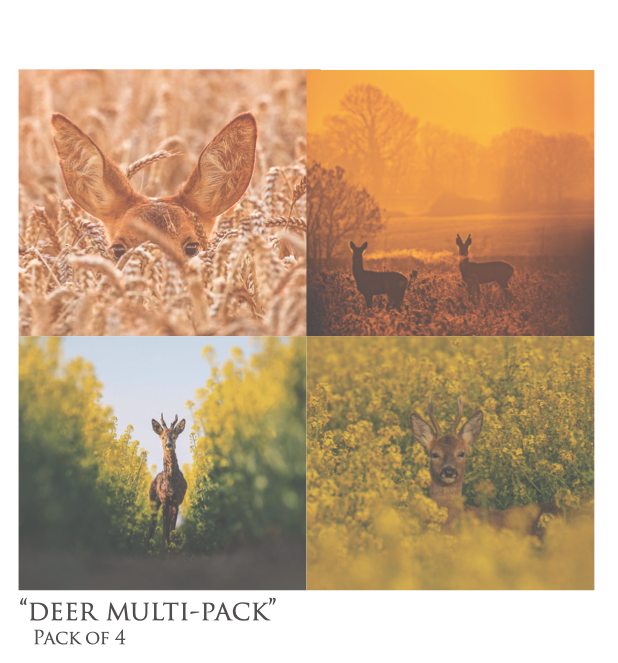 Deer Multi-Pack