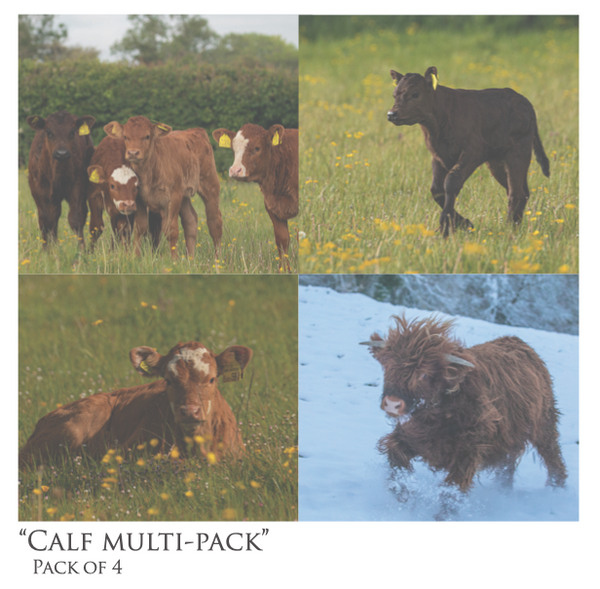 Calf Multi-Pack