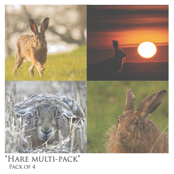 Hare Multi-Pack