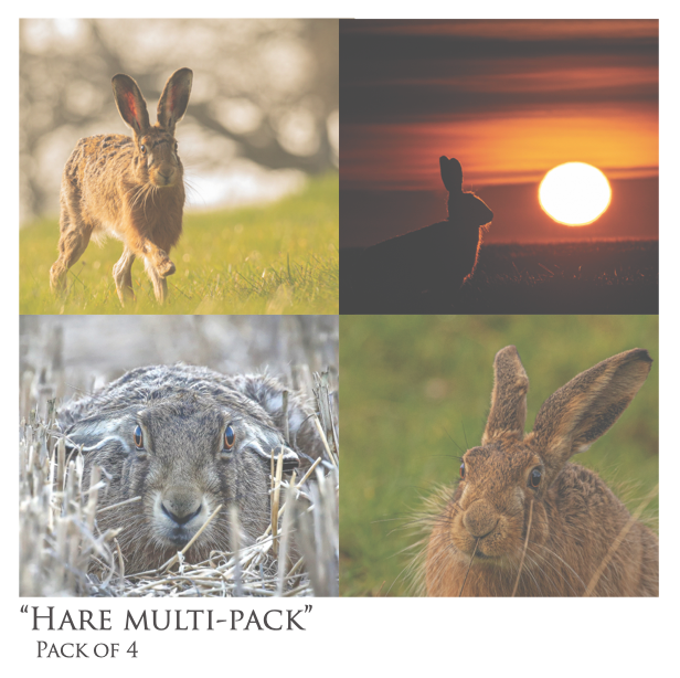 Hare Multi-Pack