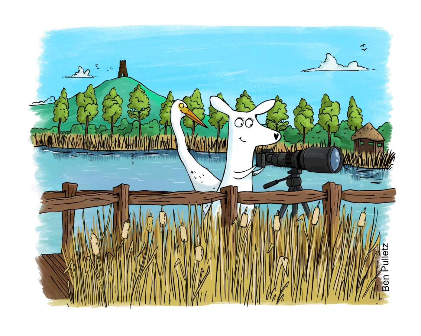 Luna explores Somerset - Pack of 2
