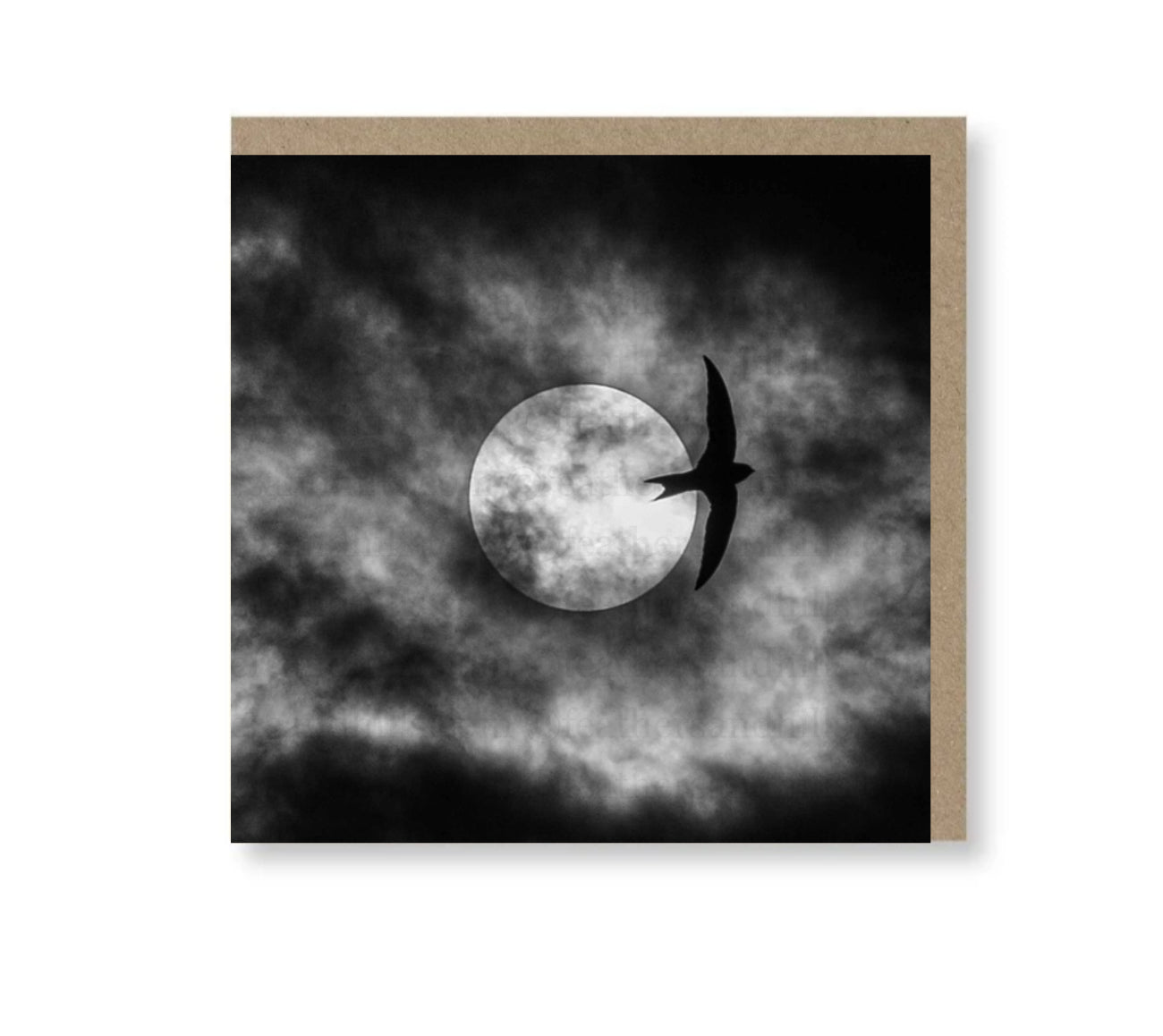 Spooky Swift