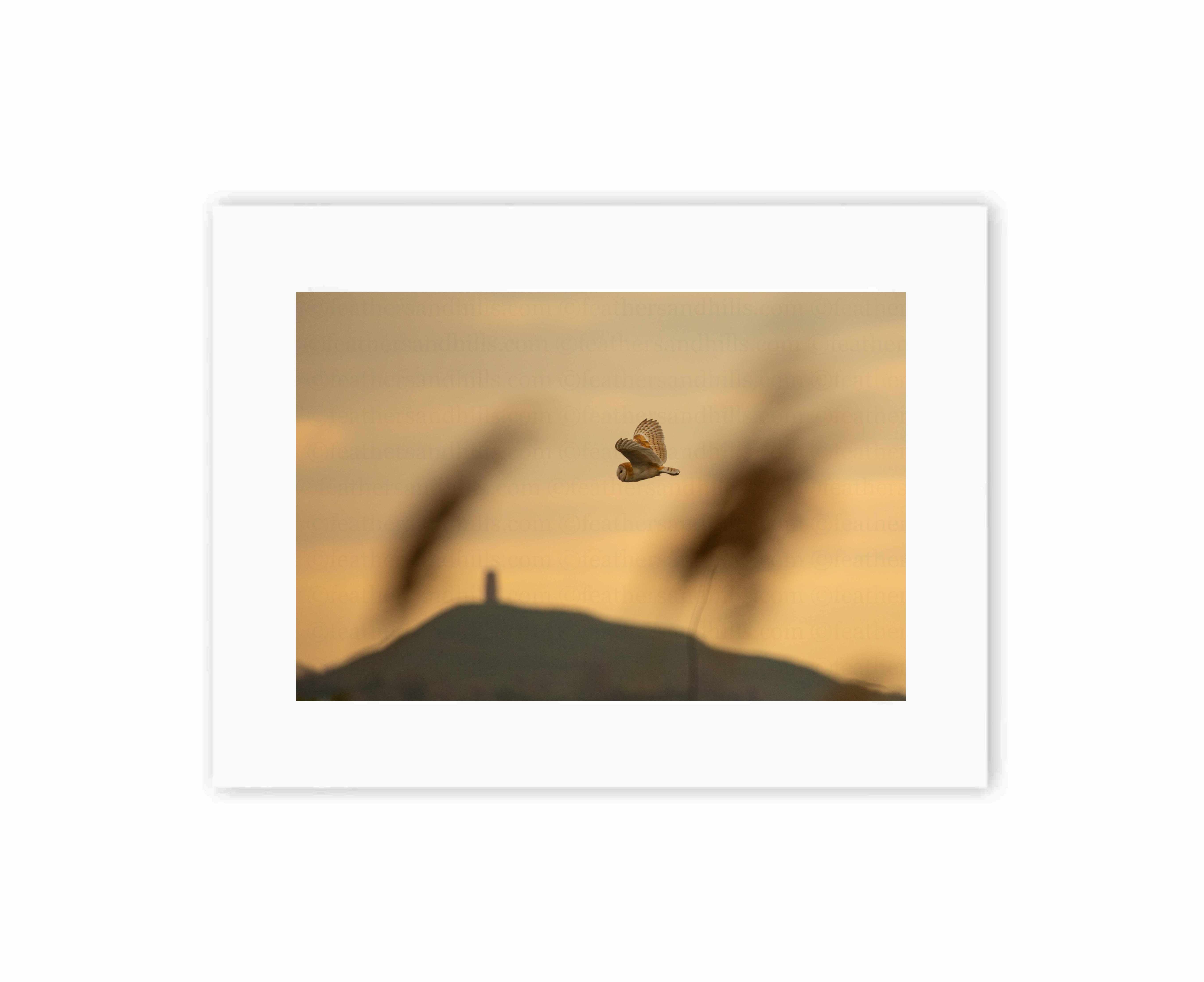 Tor Fly-by