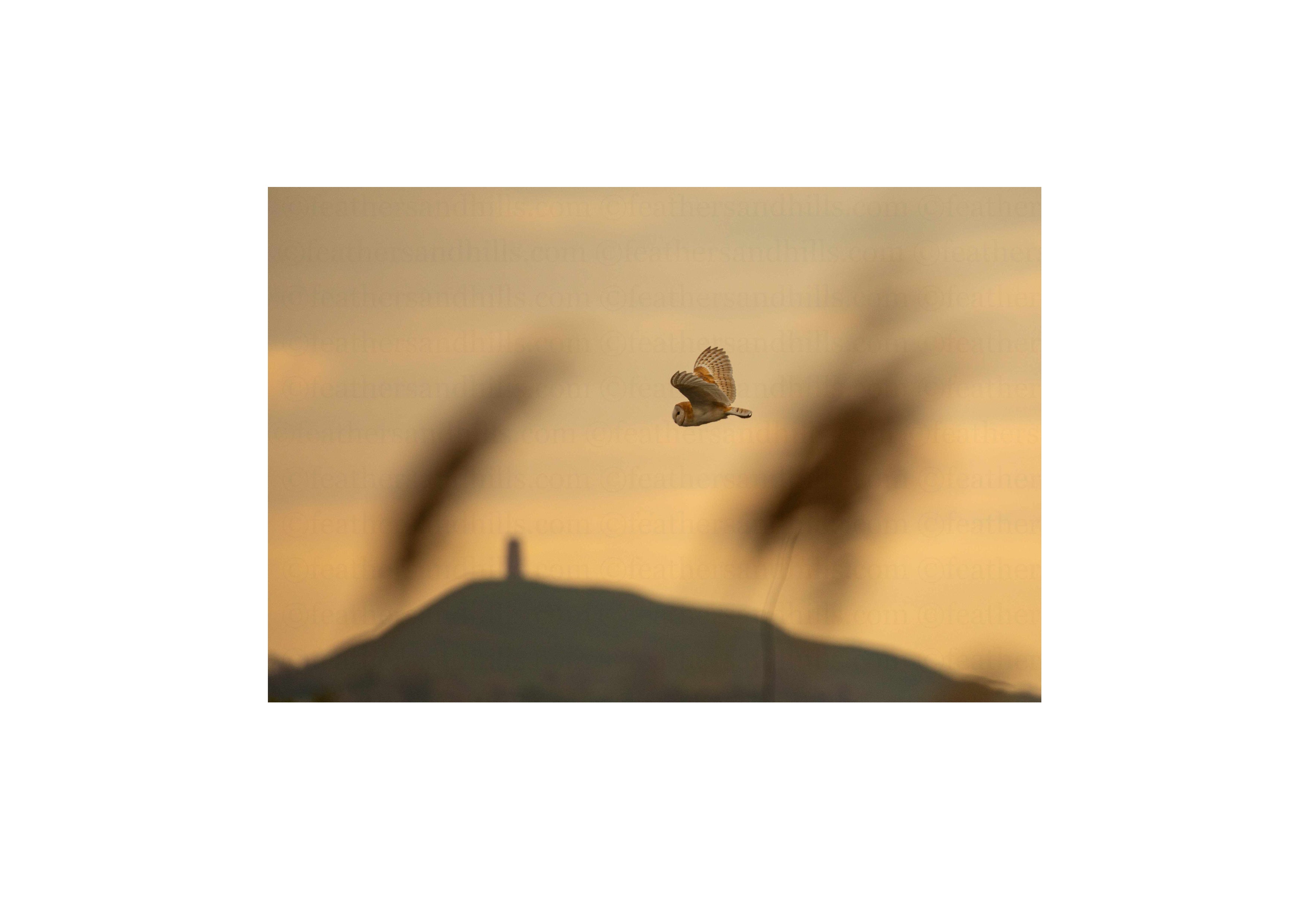 Tor Fly-by