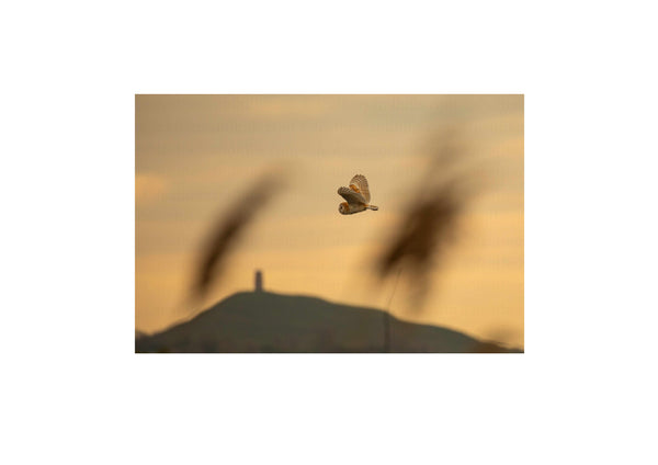 Tor Fly-by