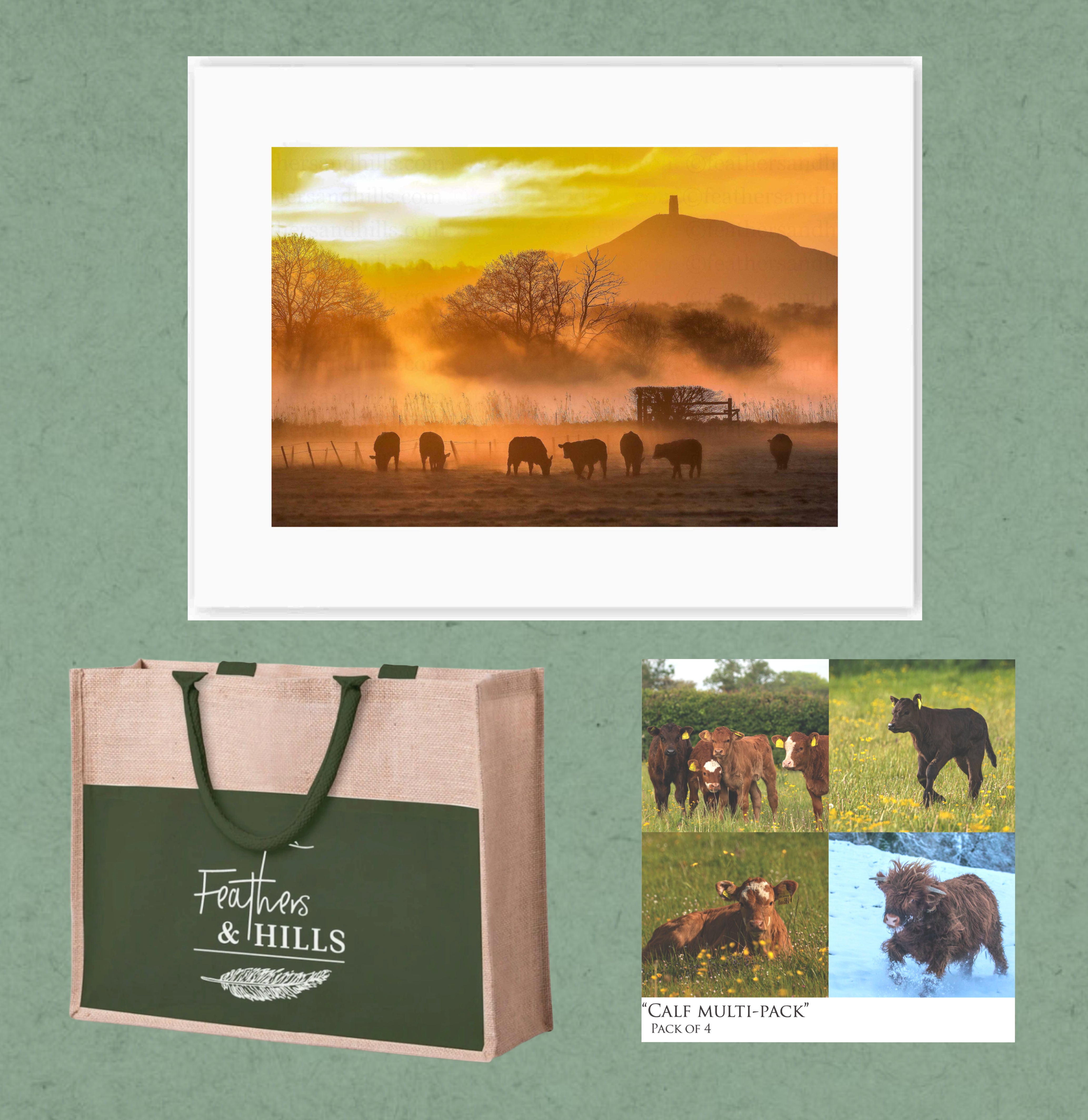 Tor Gift Pack